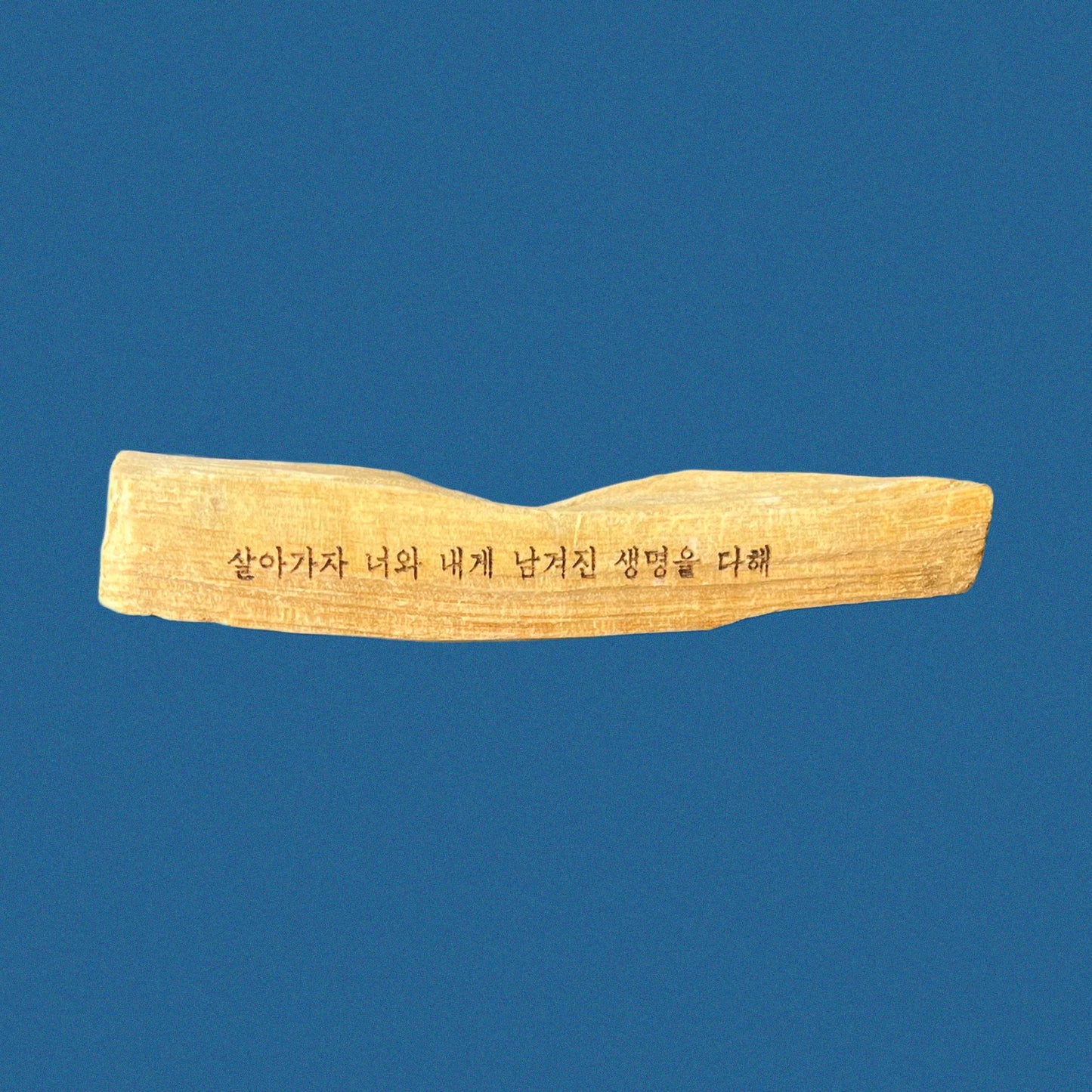 THORNAPPLE 'Fire Watching' 2024 PALO SANTO