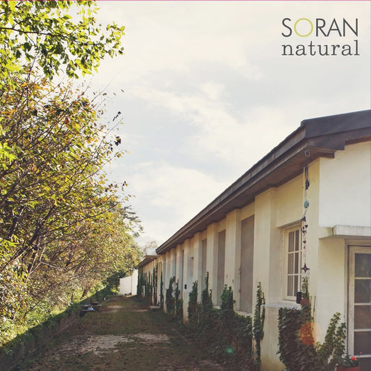 SORAN 1st Album [natural]